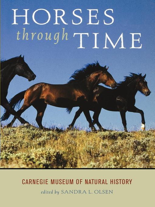 Title details for Horses Through Time by Sandra L. Olsen - Available